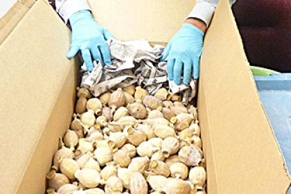 Das Heroin des armen Mannes