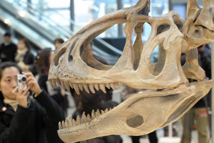 Waren Dinosaurier Warm- oder Kaltblüter?