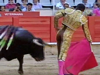 Spain: Bullfighting Banned in Catalonia