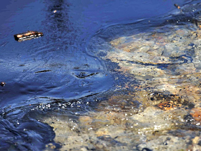 China Oil Spill May be Bigger than Official Reports Say