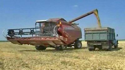 Russia: Grain Export Ban Comes Into Force