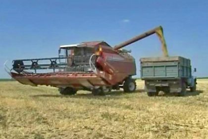 Russia: Grain Export Ban Comes Into Force