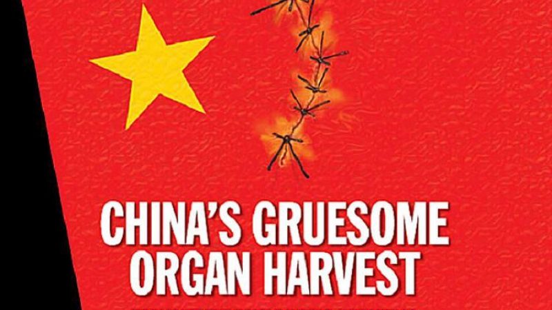 Zeuge von Organraub in Gefahr, nach China deportiert zu werden