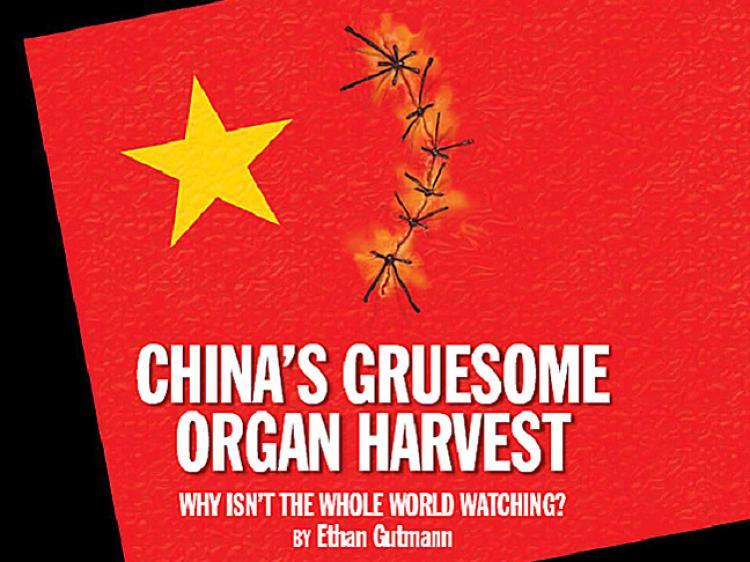 Zeuge von Organraub in Gefahr, nach China deportiert zu werden