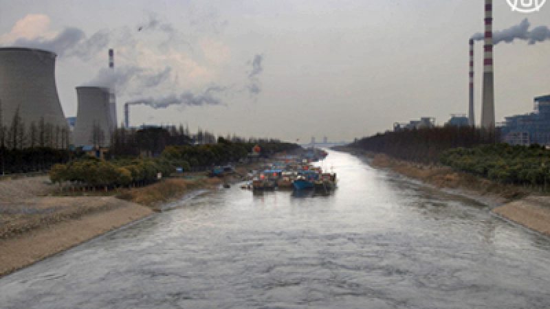 China: Gifte in Fischen vom Yangtse Fluss gefunden