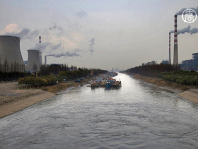 China: Gifte in Fischen vom Yangtse Fluss gefunden