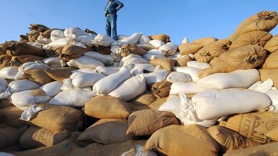 Lässt man Afrikas Zukunft verhungern?