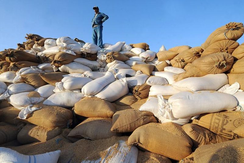 Lässt man Afrikas Zukunft verhungern?