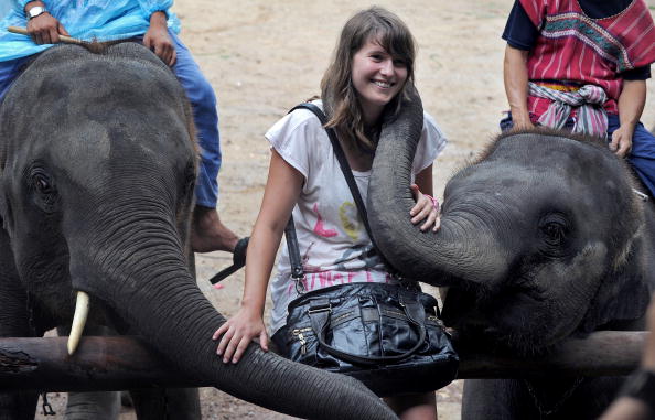 Elefanten-Massage.
