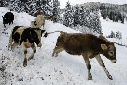 Erster Schnee in Deutschland