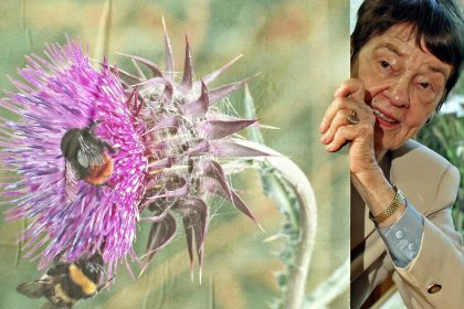 Loki Schmidts Vermächtnis – Schützt die Natur