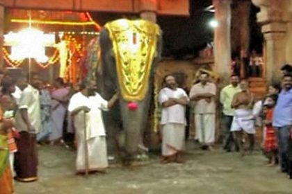 India: Elephant Stars During Hindu Festival