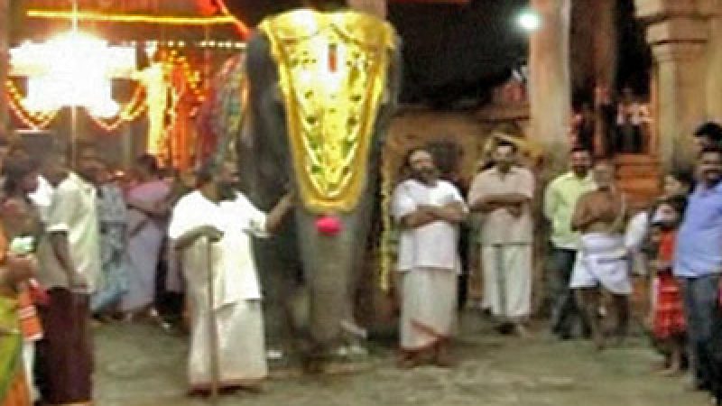 India: Elephant Stars During Hindu Festival