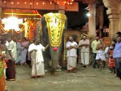 India: Elephant Stars During Hindu Festival