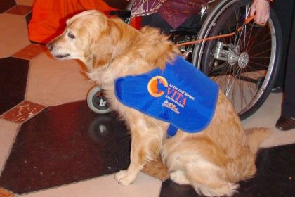 Charity-Gala für Hund und Lebensfreude