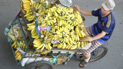 Bananenverkäufer