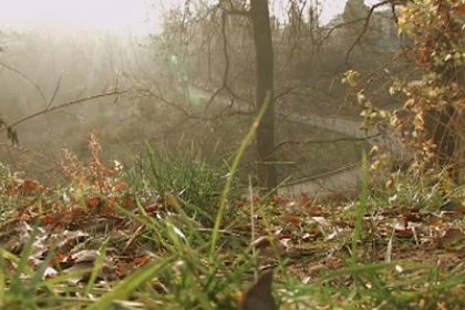 Ukraine Experiences Abnormally Warm November