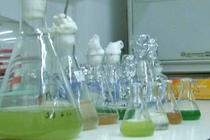 Israel: Wissenschaftler finden Ursache für Ausbreitung der Blaualge