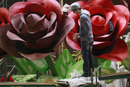 Hier geht´s um die Rose