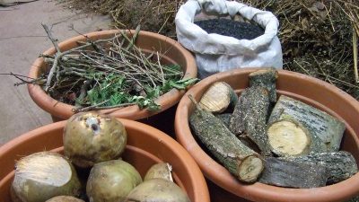 Pilotprojekt zur Herstellung von Schwarzerde im Botanischen Garten Berlin