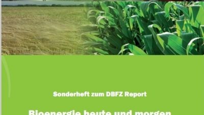 Bioenergie heute und morgen – 11 Bereitstellungskonzepte