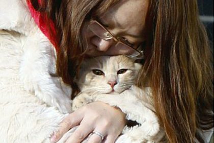 Schutz, Halt und Geborgenheit