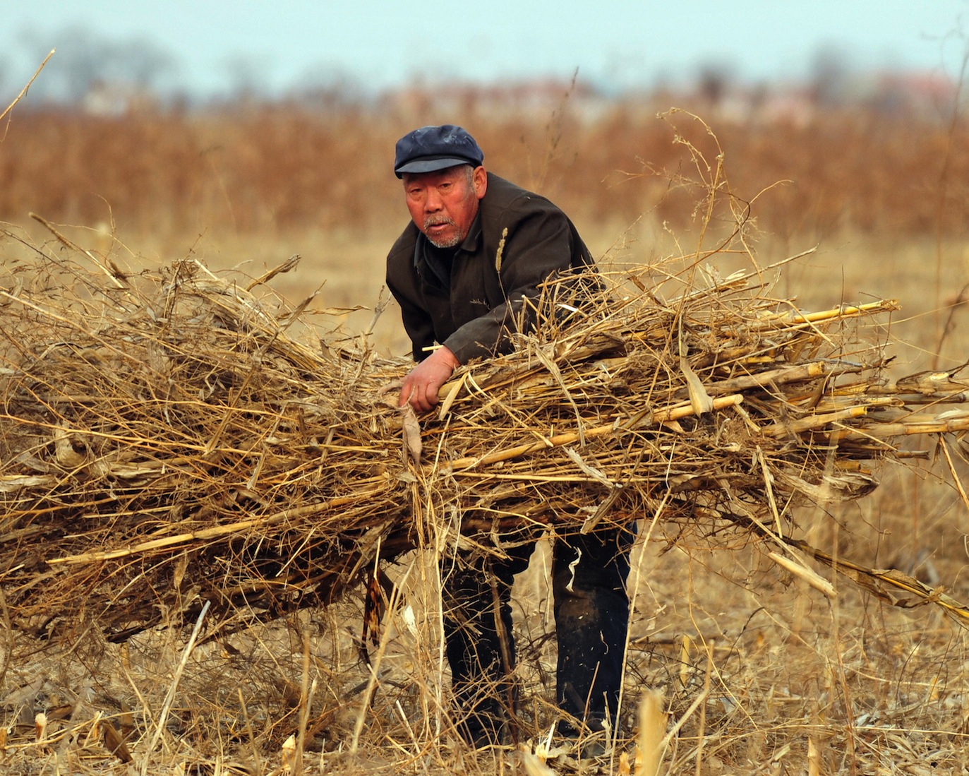 Unzufriedenheit in China prognostiziert wegen steigender Getreidepreise