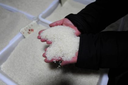 Chinas Problem mit kontaminierten Nahrungsmitteln