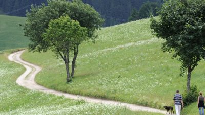 Luftverschmutzung ist eine der Hauptursachen für Herzinfarkte