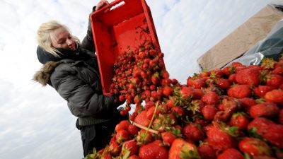 Biogas bietet neue Möglichkeiten