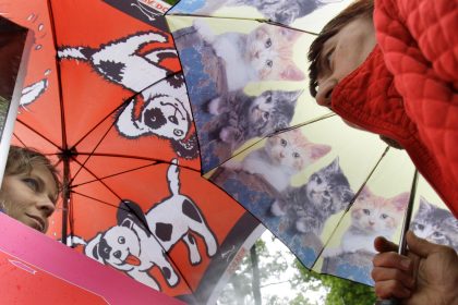 Engagement für Tierschutz