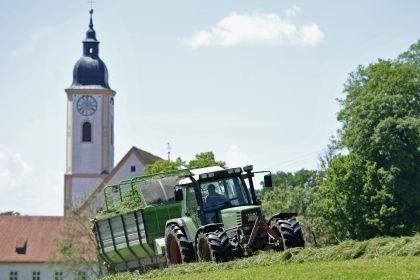Einfuhr von Grünfutter