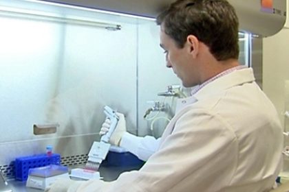 New Weapon Found in War on Mosquitoes