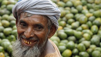 Beliebte Mangofrüchte in Indien