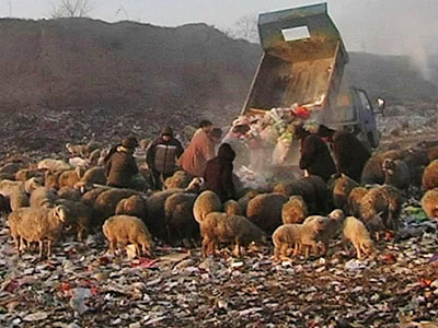 „Peking, vom Müll überhäuft“