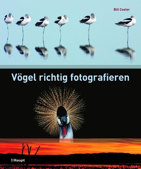 Das Cover: Bill Coster, Vögel richtig fotografieren im Haupt Verlag