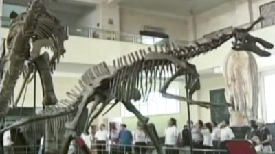 Fossilfund in China stellt Evolutionstheorie von Vögeln in Frage