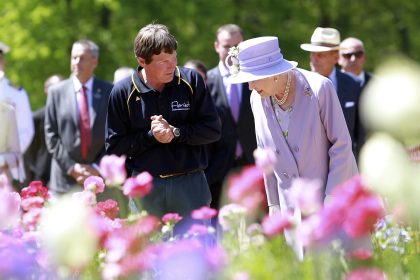 Blumenpracht in Canberra