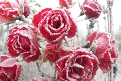 Nach einer kalten Nacht