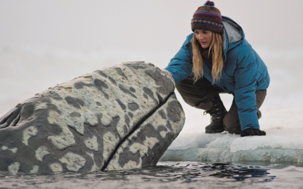 Kino Kino: Der Ruf der Wale – ein Familienfilm
