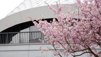 Übereinstimmende Begeisterung für Shen Yun in Frankfurt