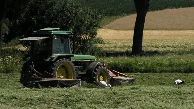 Gute Konjunktur in der Landwirtschaft