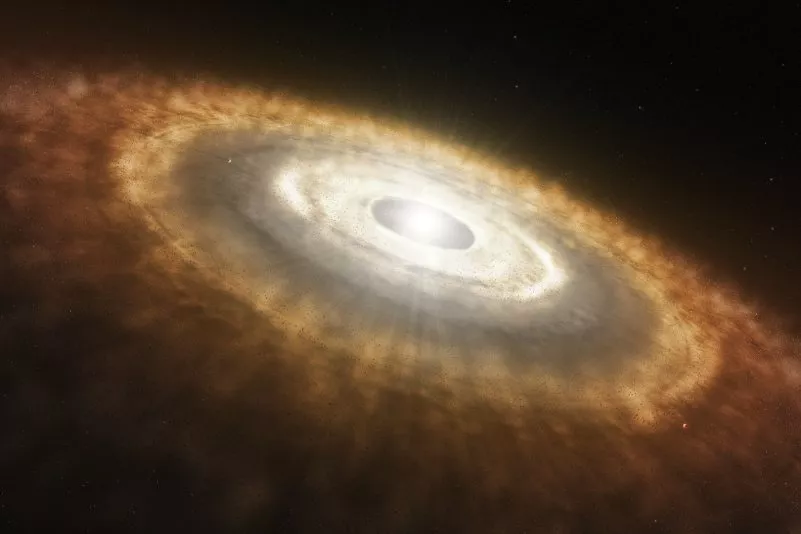 top-article-image