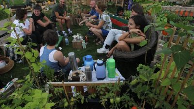 Akelei und Aktendeckel beim „Urban Gardening“ im Firmengarten