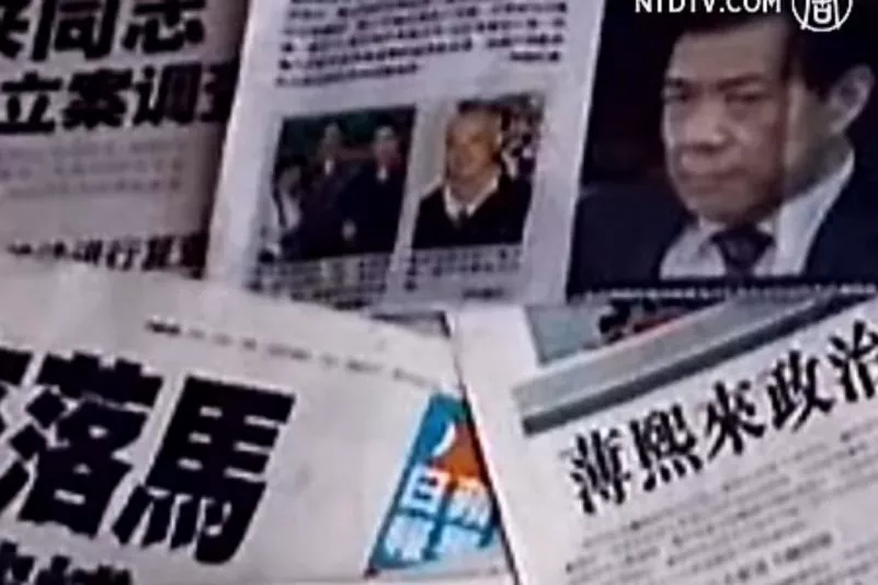 top-article-image