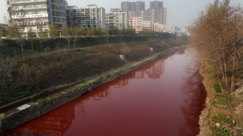 Was ist toxischer in China: eingelegtes Fleisch oder Chrom(VI)?