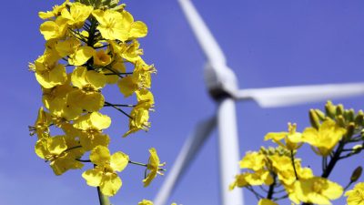 Umweltministerin Schulze verteidigt Einlenken im Streit um CO2-Grenzwerte