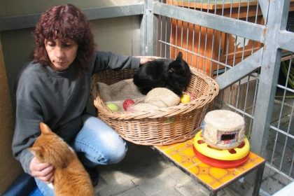 70.000 Haustiere in den Sommerferien in Tierheimen abgegeben