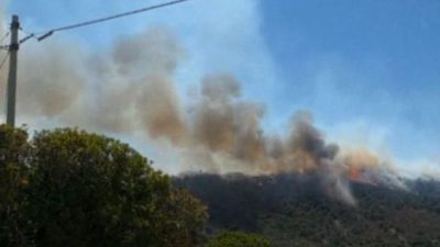 Waldbrände wüten auf beliebten Ferieninseln