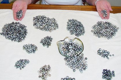 Perlen – die ungeschliffenen Edelsteine: Die wichtigsten Perlen-Arten